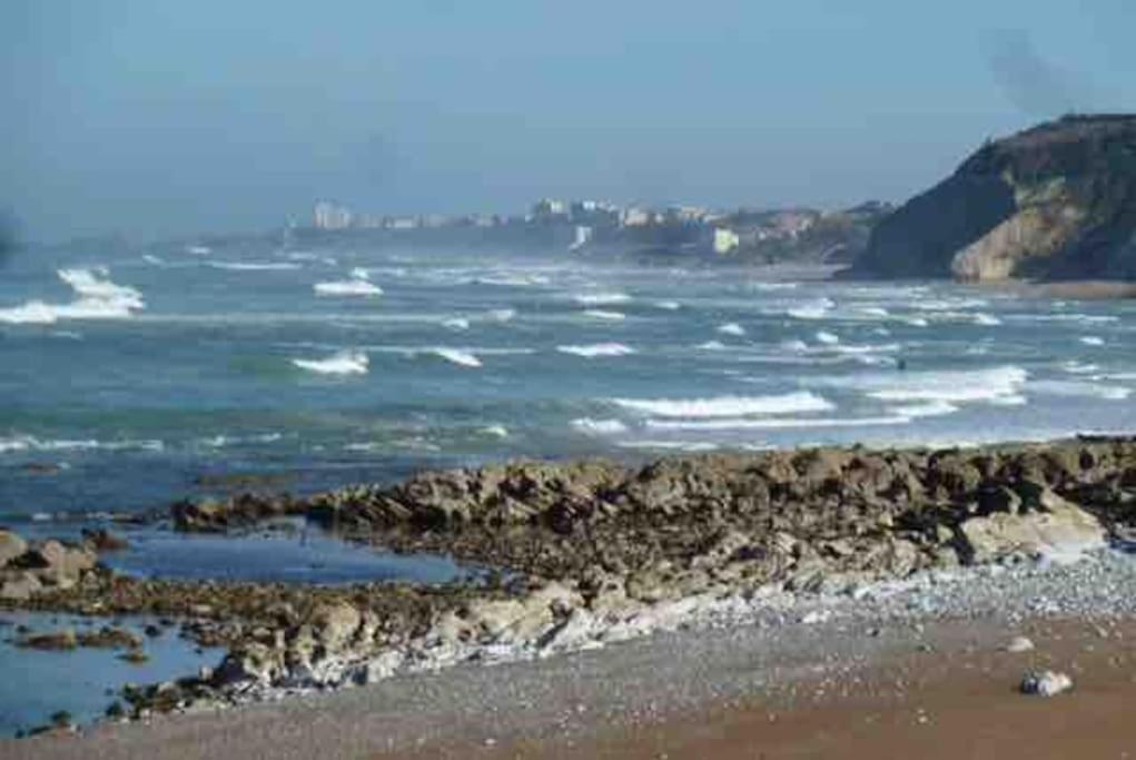 Bidart Cote Basque T3 250 Metres De La Plage 3*** Apartment Ngoại thất bức ảnh